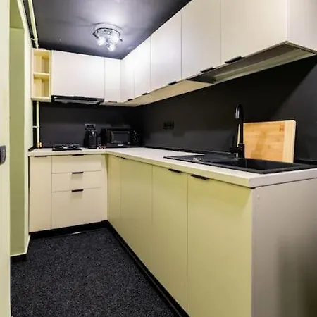 Downtown Victoriei Flat With Garden And Jacuzzi Apartment *