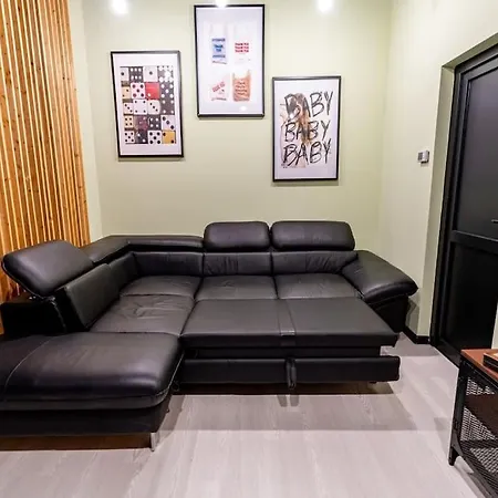 Daire Downtown Victoriei Flat With Garden And Jacuzzi *